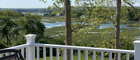 Marsh views change with the tide