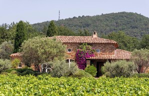 A large house set in the vineyards 