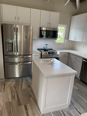 State of the art kitchen - quartz countertops, solid wood cabinets, stainless 