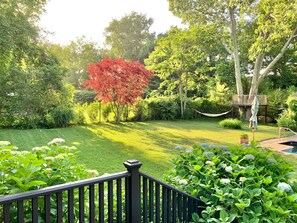 view to hammock