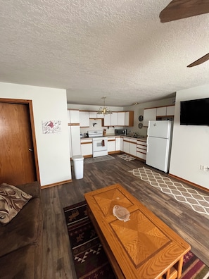 Living room/kitchen