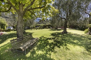 Trädgård