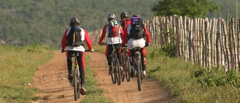 Bicycling