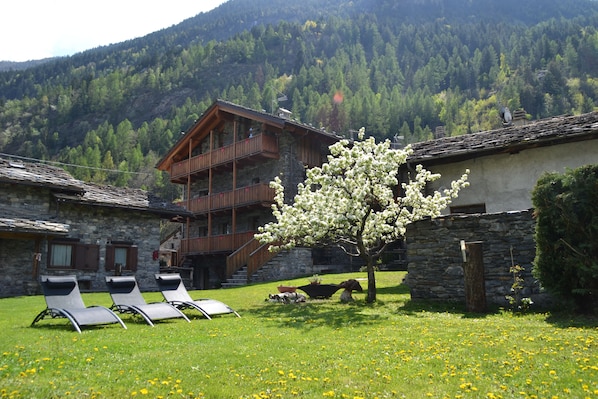 Exterior