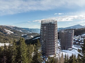 Trädgård