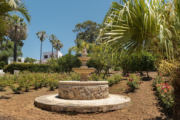 Fountain
