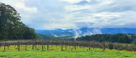 Streaming mountains - A typical view in the Winter