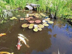 Boendeområde