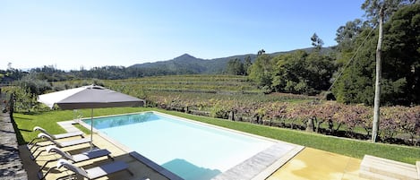 View over the vineyards