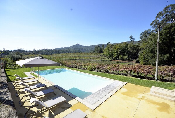 View over the vineyards