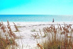 walks on our beach
