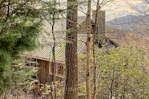 Cabin in the woods