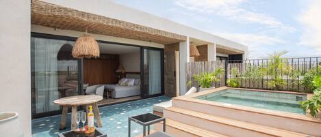 Great terrace with plunge pool to enjoy a sunny day!