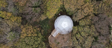 Our Treehouse Dome