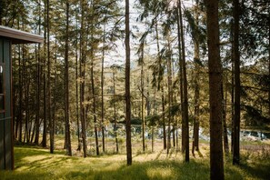 Surrounded by Trees