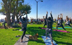 Try yoga in Bluff Park - a short walk with incredible views of the Queen Mary, the harbor and the ocean.