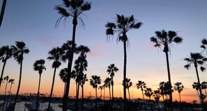 Sit on the patio and catch the incredible sunsets!