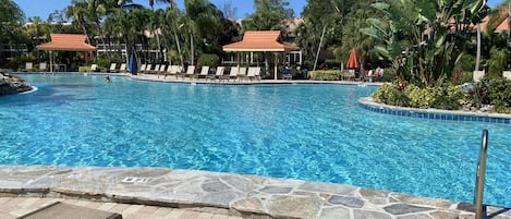 Enjoy the largest heated salt water pool in all SW Florida 