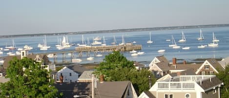 Amazing Harbor Views