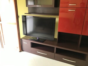 Television