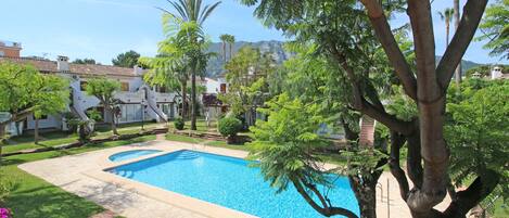 Apartment on the beach with pool