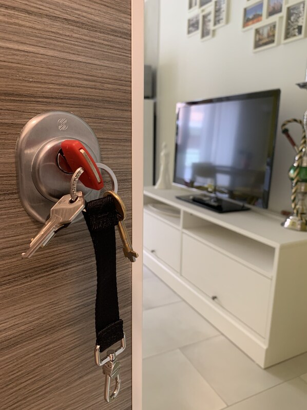 Television