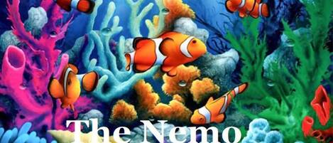 Welcome to the Nemo!