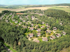 Plant, Property, Sky, Ecoregion, Nature, Natural Landscape, Tree, Natural Environment, Land Lot, Vegetation