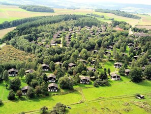 Pflanze, Pflanzengemeinschaft, Grün, Natur, Natürlichen Umgebung, Natürliche Landschaft, Baum, Grundstueck, Hochland, Vegetation