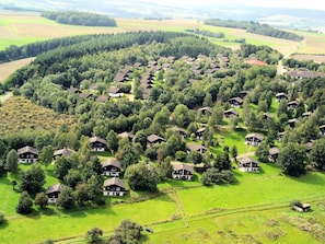 Plant, Plant Community, Green, Nature, Natural Environment, Natural Landscape, Tree, Land Lot, Highland, Vegetation
