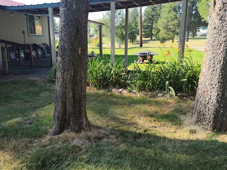 Property grounds