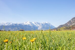 Berge