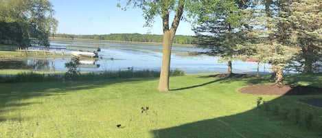 The backyard and lake frontage