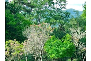 Mountain view from the balcony of the guesthouse.