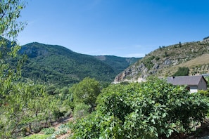 Vue