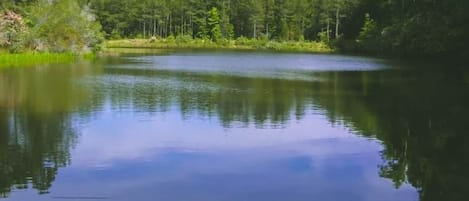 Fishing Pond On Property
