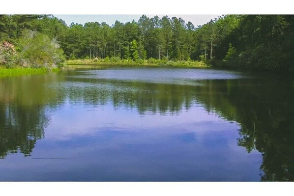 Fishing Pond On Property
