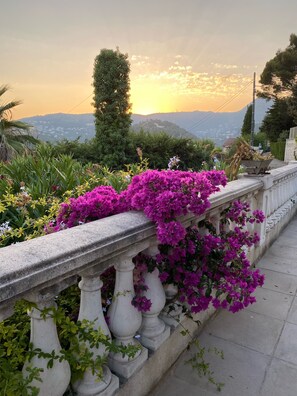 Vue terrasse