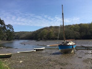 The upper reaches of picturesque Gillan Creek