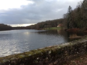 One of several nearby lakes, this one in the huge oak forest of Troncais