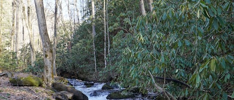 Creek - Creek running through the property