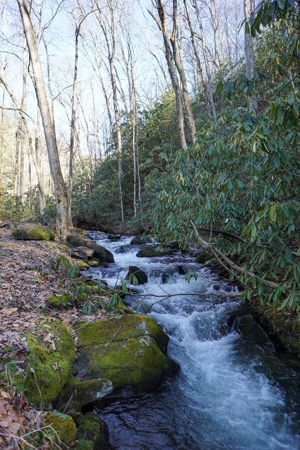 Creek - Creek running through the property