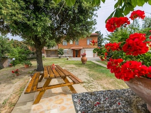 Planta, Flor, Edificio, Ventana, Casa, Árbol, Pétalo, Biome, Hierba, Cielo