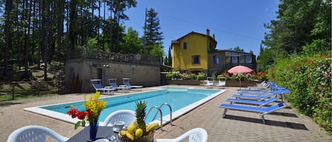 La propiedad y la zona de la piscina con el amplio solarium