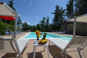 The pool equipped area