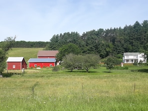 The Farm.  Your Pioneer's Cabin is hiding behind the apple trees