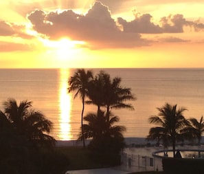 Beach/ocean view