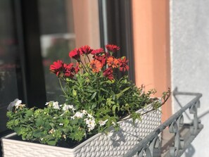 Detalj exteriör