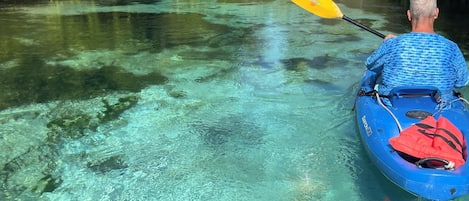 Bask in the crystal clear Weeki wachee Head Springs upriver.  Make advance RSVP