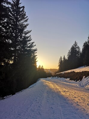 Skidåkning och snöaktiviteter